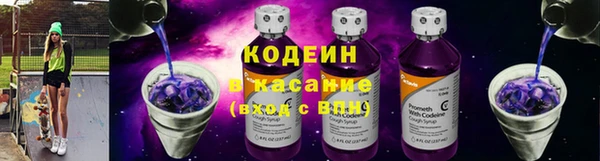 дурь Бикин
