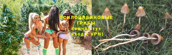 каннабис Беслан