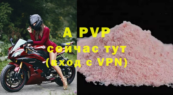 прущие крисы Верея